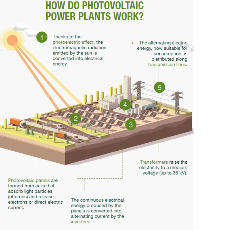 A fotovoltaikusnövények típusai